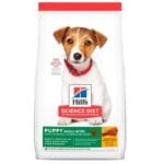 Hills SD Canine Puppy Small Bites Pollo 2Kg Alimento Seco Perro,