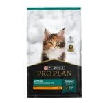 Pro Plan Kitten Gatitos Alimento Seco Gato