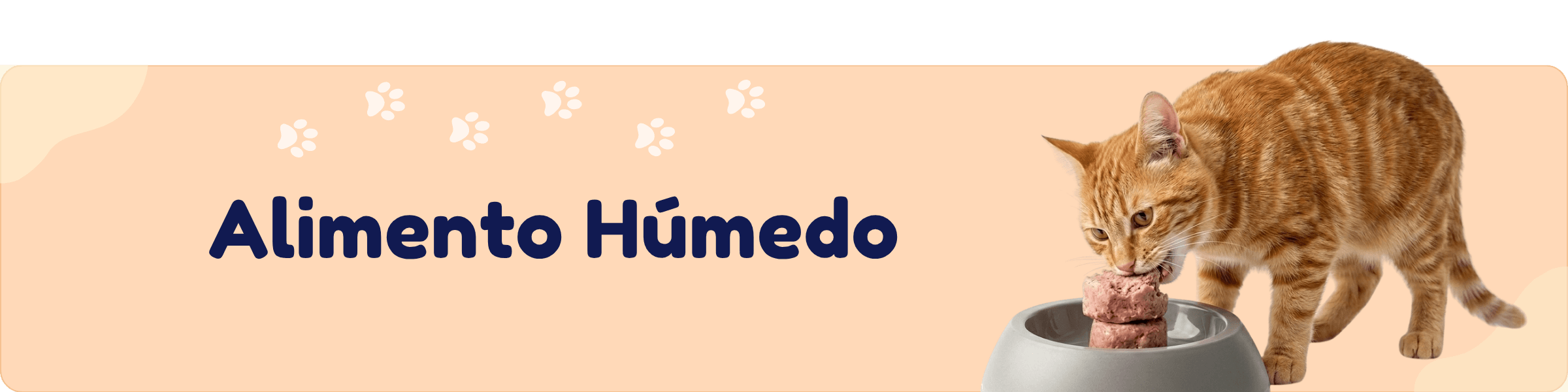 Perros